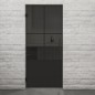 Pendeltür Loft Schwarzlack 36 Auf Grauglas